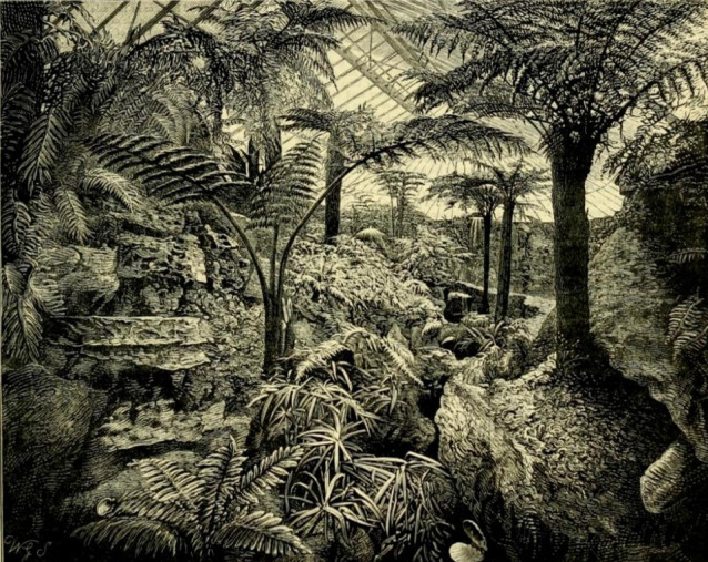Askog Hall fernery 1879. Picture used under CC licence from Peter Zehrer https://www.flickr.com/photos/mzehrer/207117586